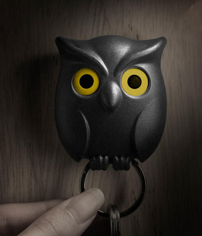 Magnetische sleutelhouder uil: Organiseer jouw sleutels in stijl ! 🦉🔑