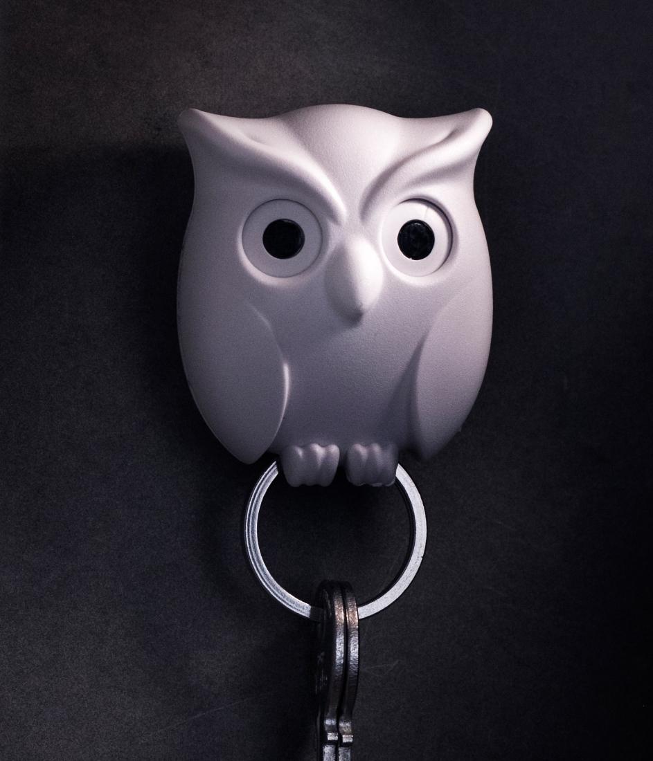 Magnetische sleutelhouder uil: Organiseer jouw sleutels in stijl ! 🦉🔑